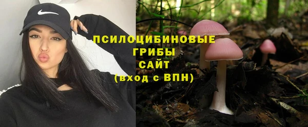 сатива Переславль-Залесский