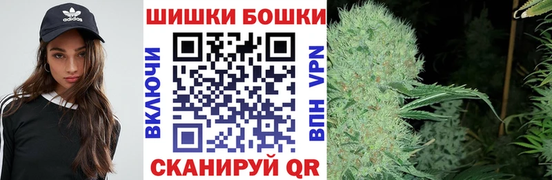 Купить где  Тейково  Бошки Шишки ГИДРОПОН 